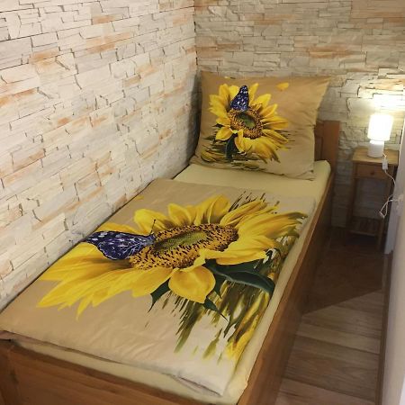 Apartman Slunecnice S Terasou Ceske Budejovice Exteriör bild