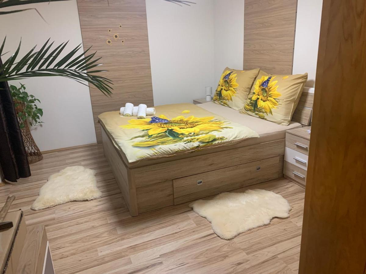 Apartman Slunecnice S Terasou Ceske Budejovice Exteriör bild
