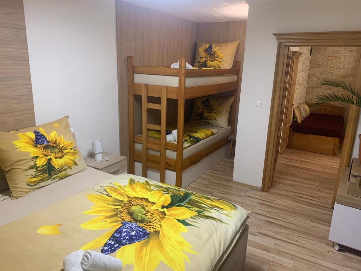 Apartman Slunecnice S Terasou Ceske Budejovice Exteriör bild