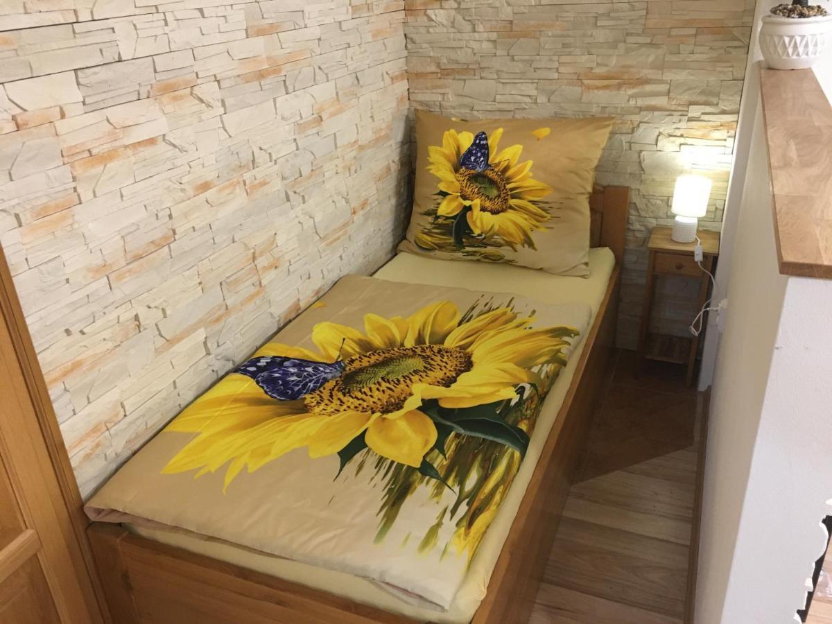 Apartman Slunecnice S Terasou Ceske Budejovice Exteriör bild