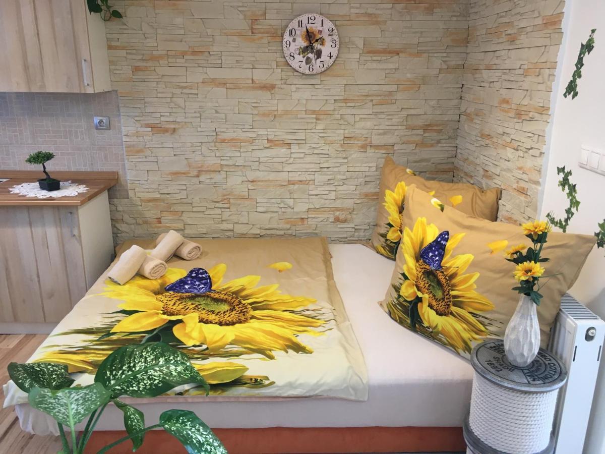 Apartman Slunecnice S Terasou Ceske Budejovice Exteriör bild