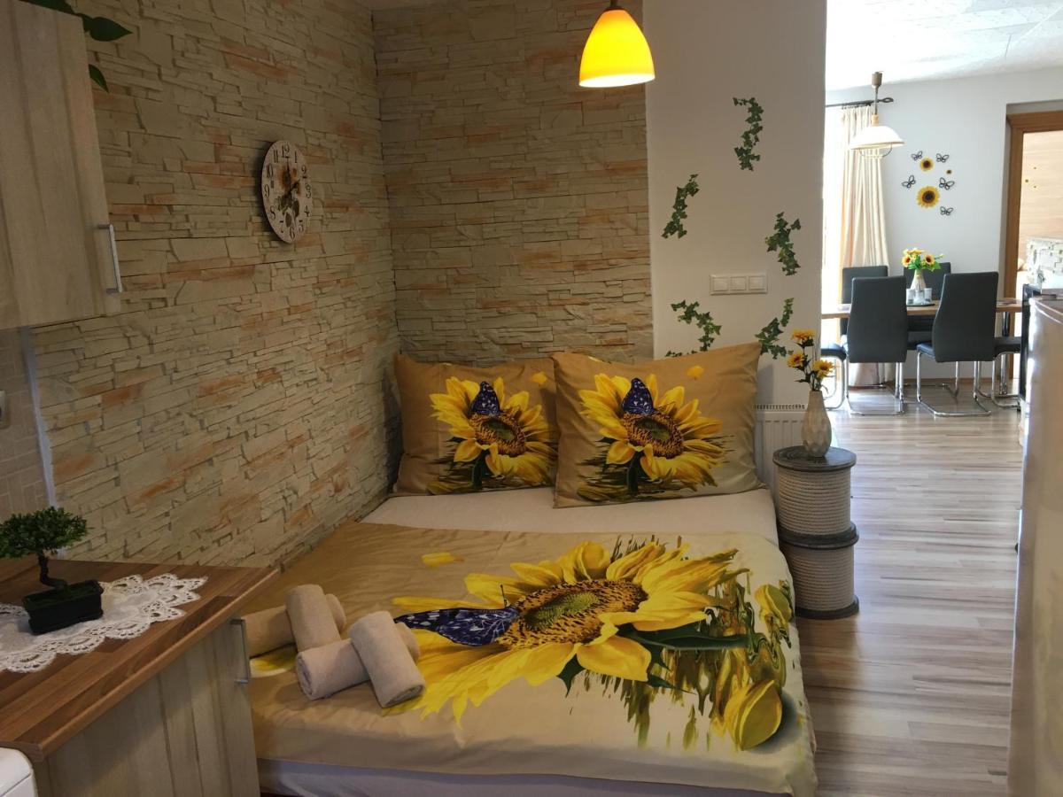 Apartman Slunecnice S Terasou Ceske Budejovice Exteriör bild