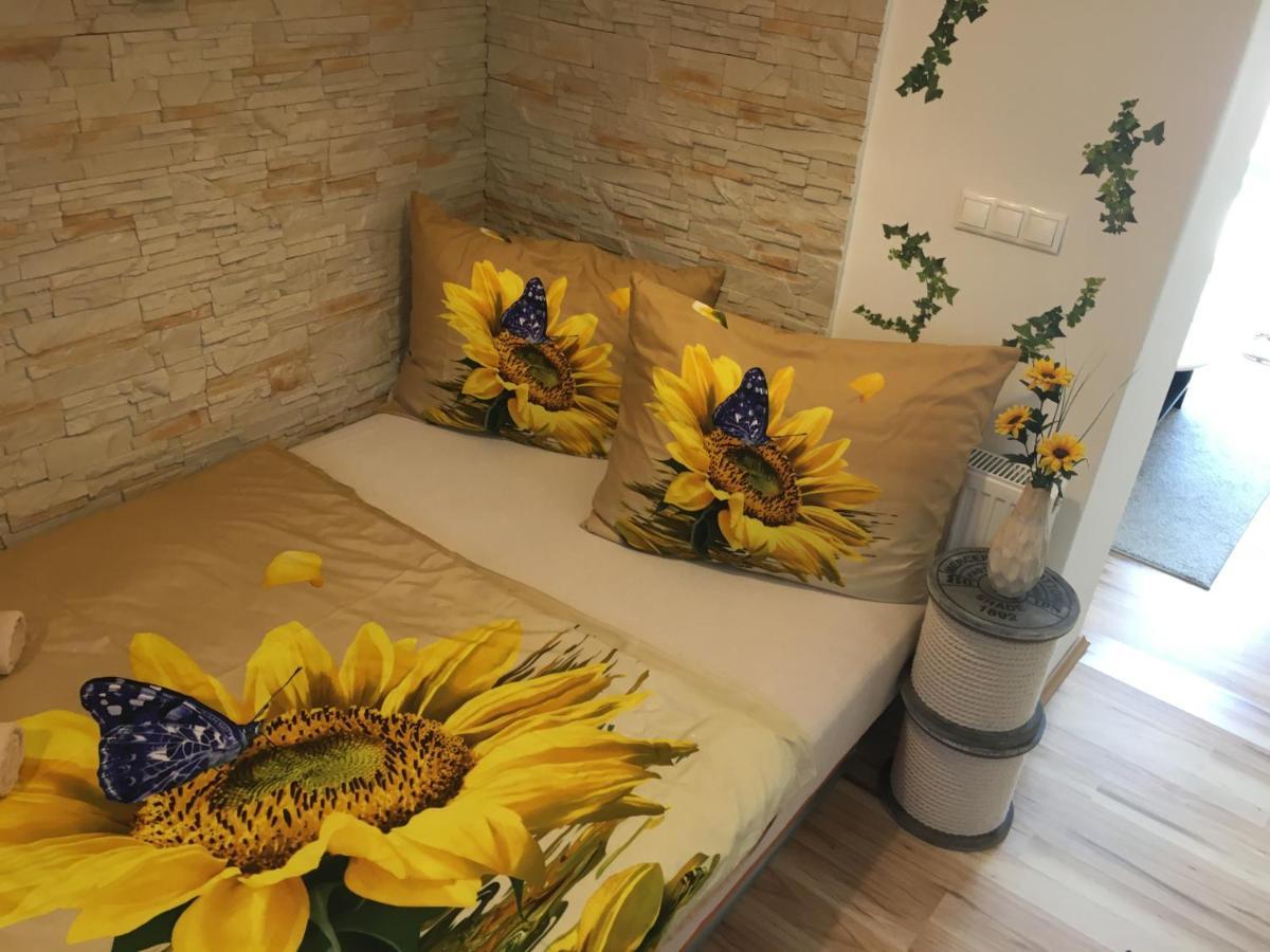 Apartman Slunecnice S Terasou Ceske Budejovice Exteriör bild